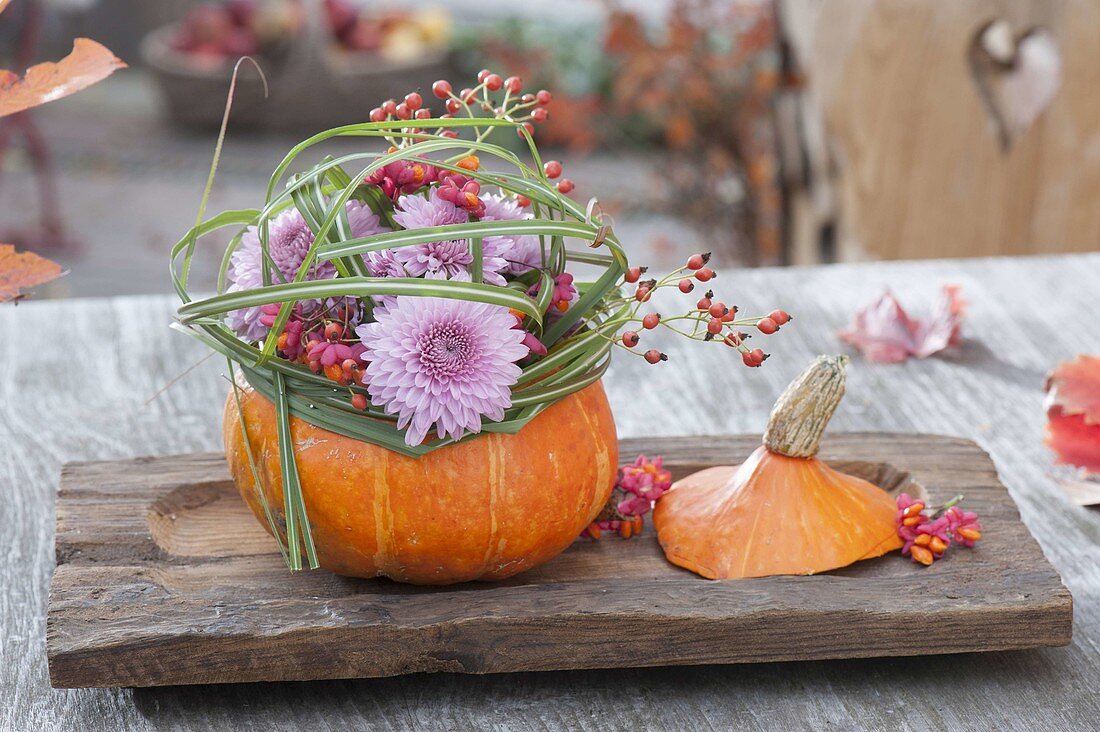 Herbstliche Deko im Wintergarten : Hokkaido-Kürbis (Cucurbita) als Vase