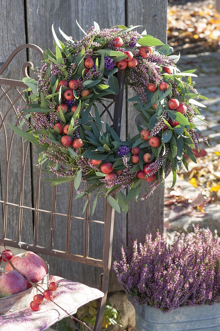 Autumn wreath from cutback of Eucalyptus with malus (ornamental apple)