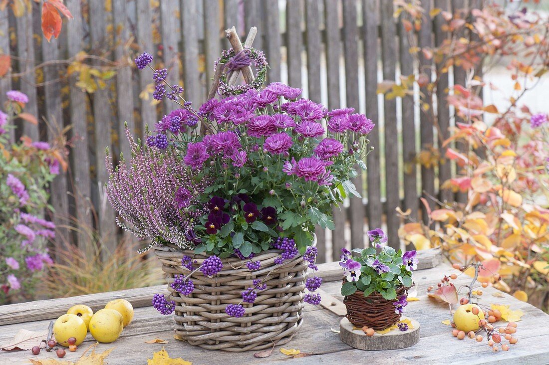 Autumn basket planted clay-on-clay