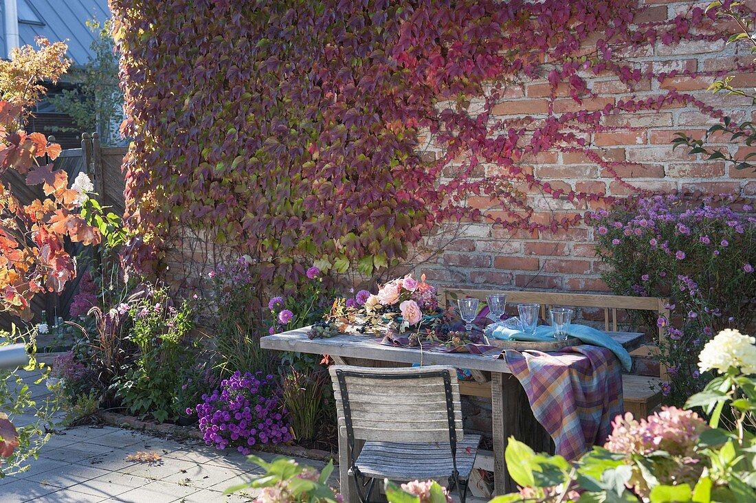 Herbstliche Tischdeko mit Weintrauben (Vitis vinifera), Rosa (Rosen)