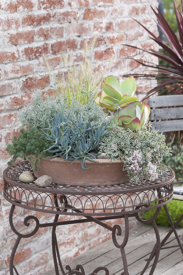 Terracotta bowl with succulents and grass
