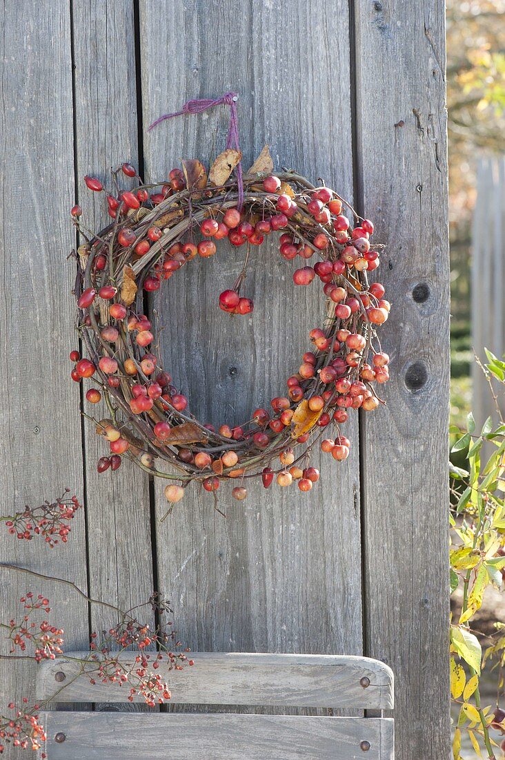 Herbstkranz aus Malus (Zierapfel - Zweigen)