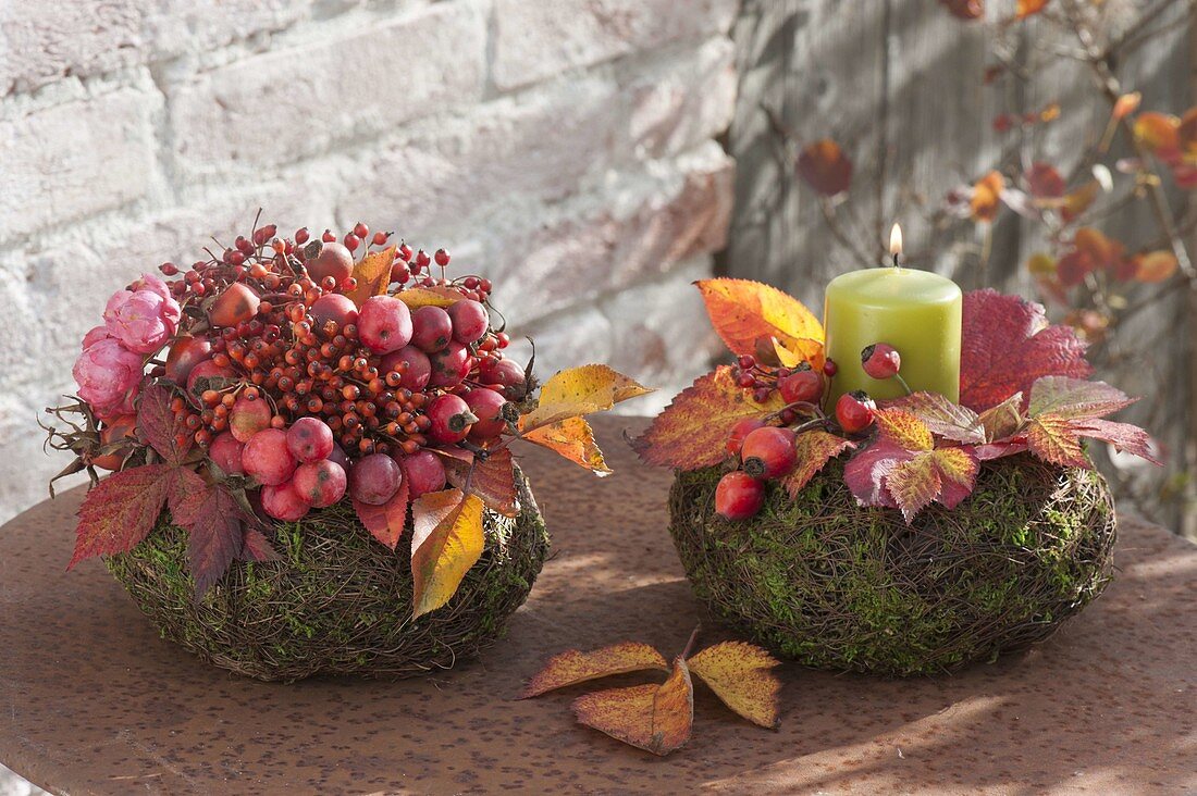 Herbstliche Körbchen aus Moos und Drahtwein mit Malus (Zieraepfeln)
