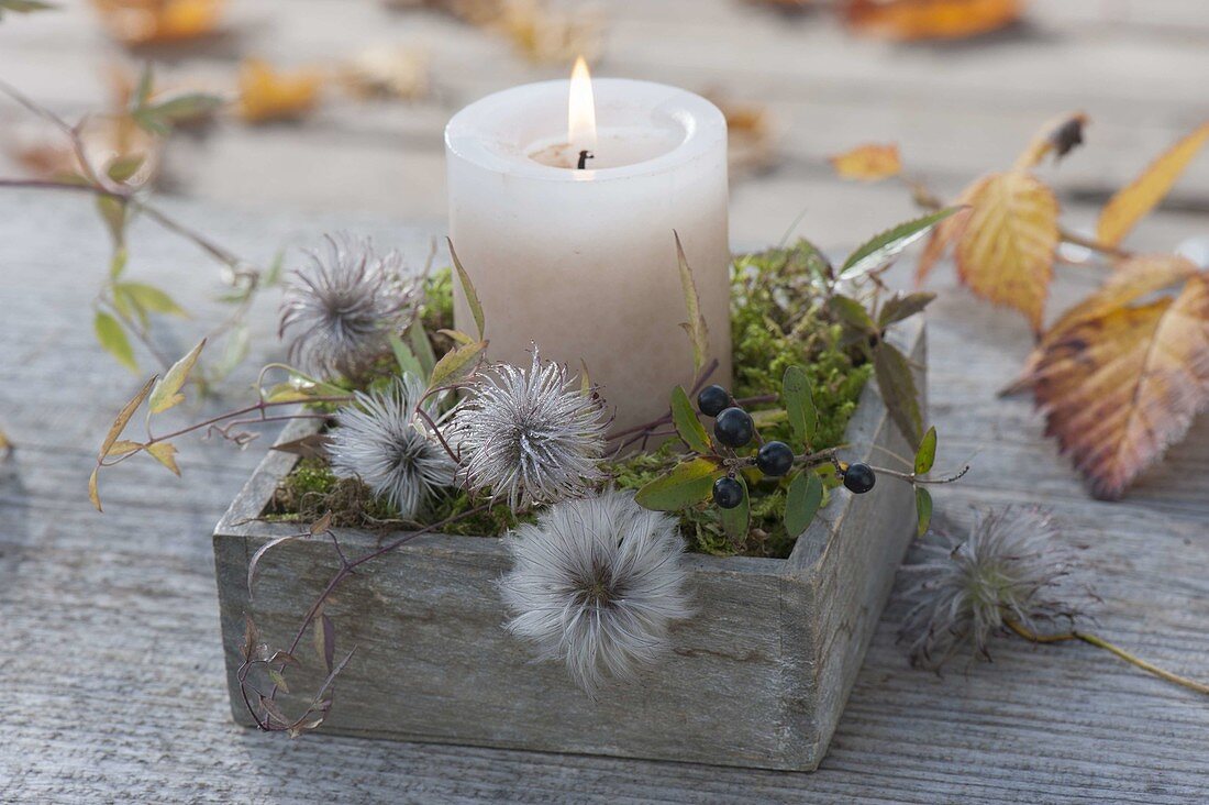 Small candle deco with Clematis (clematis) seeds