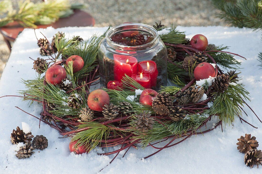 Advent wreath made of Cornus branches, and Pinus