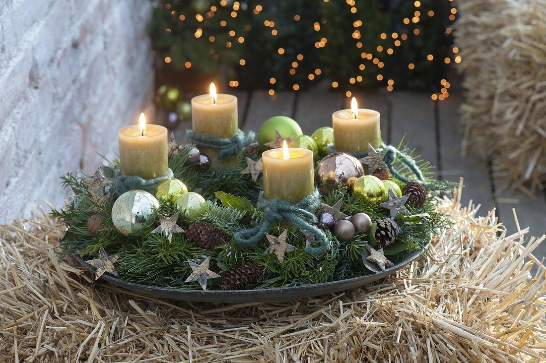 Advent wreath of Abies, and Pinus