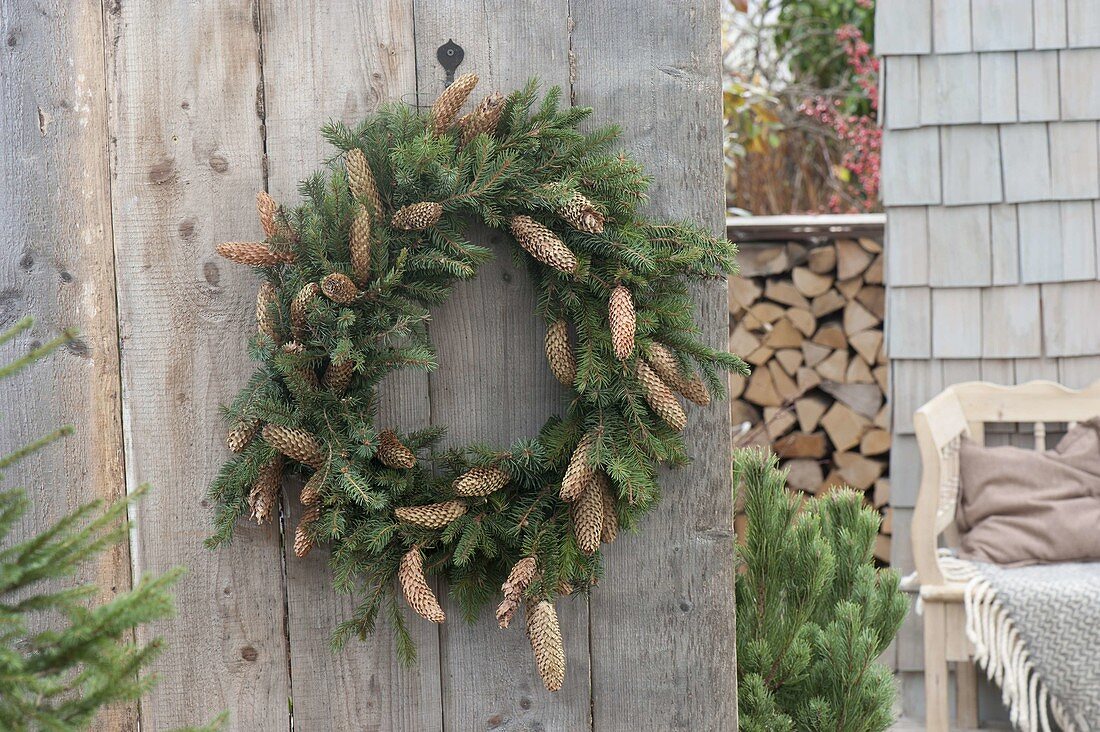 Natürlicher Kranz aus Picea (Fichte) mit Zapfen