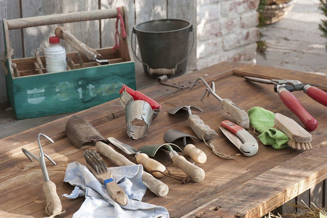 Clean garden tools and small appliances in autumn for winter