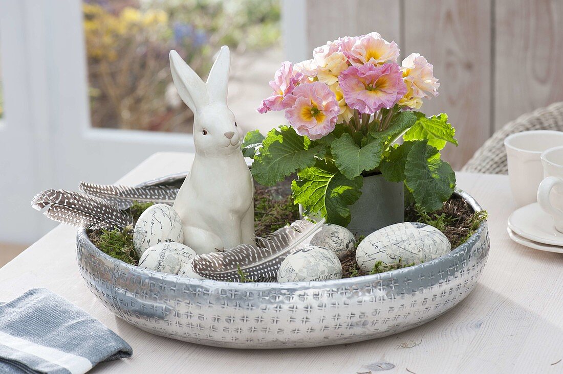 Silver tray with primula acaulis (primrose), ceramic Easter bunny