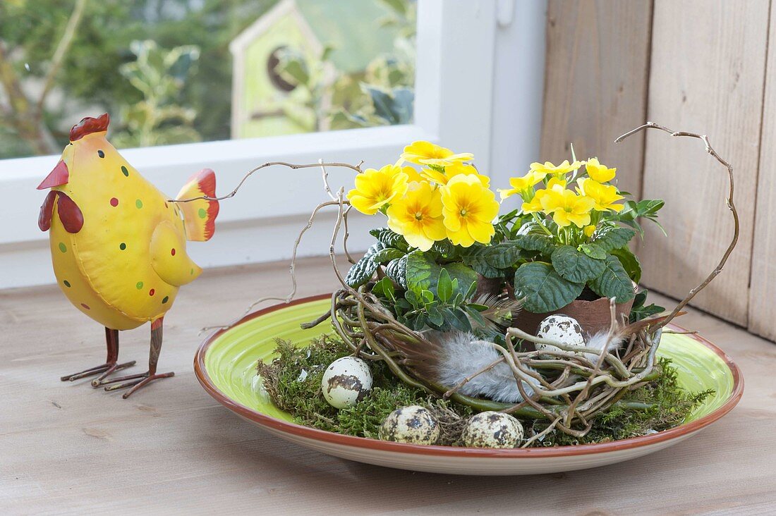 Easter bowl with moss and wreath from Salix (corkscrew willow)