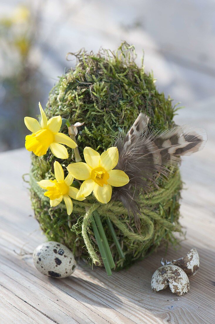 Moose Easter egg decorated with Narcissus 'Tete A Tete'