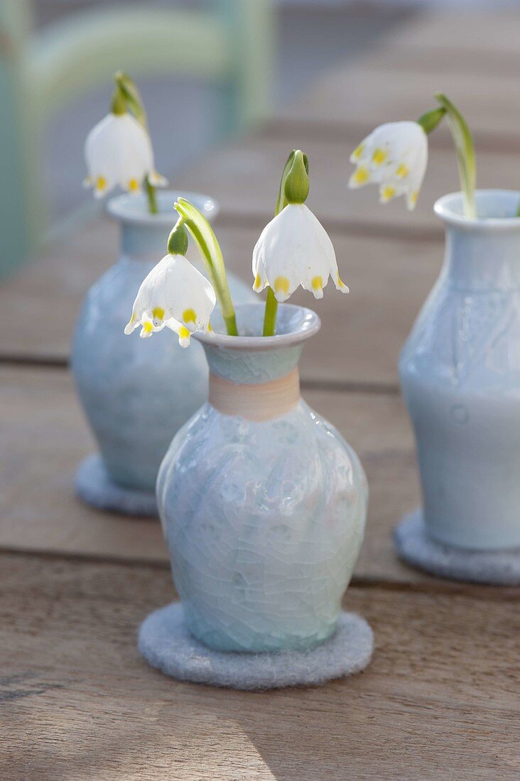 Leucojum (spring snowflake) flowers in ceramic vases