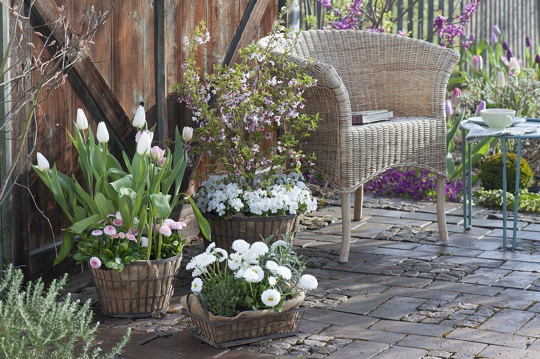 Spring terrace in pastel colors