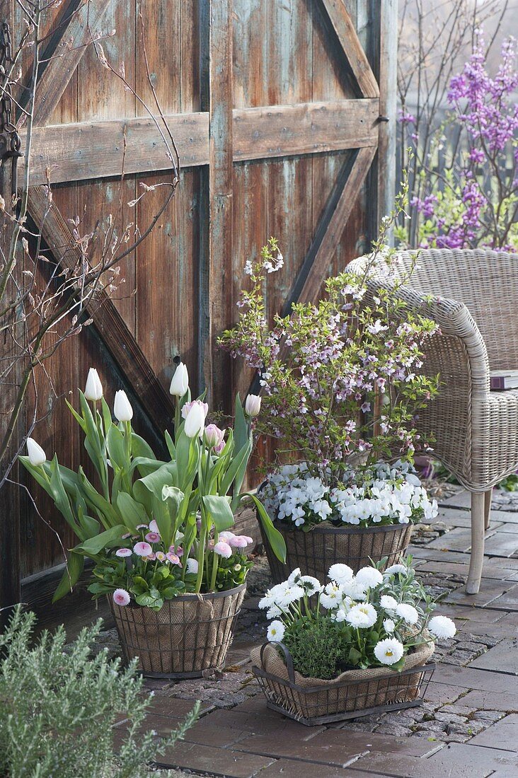 Spring terrace in pastel colors