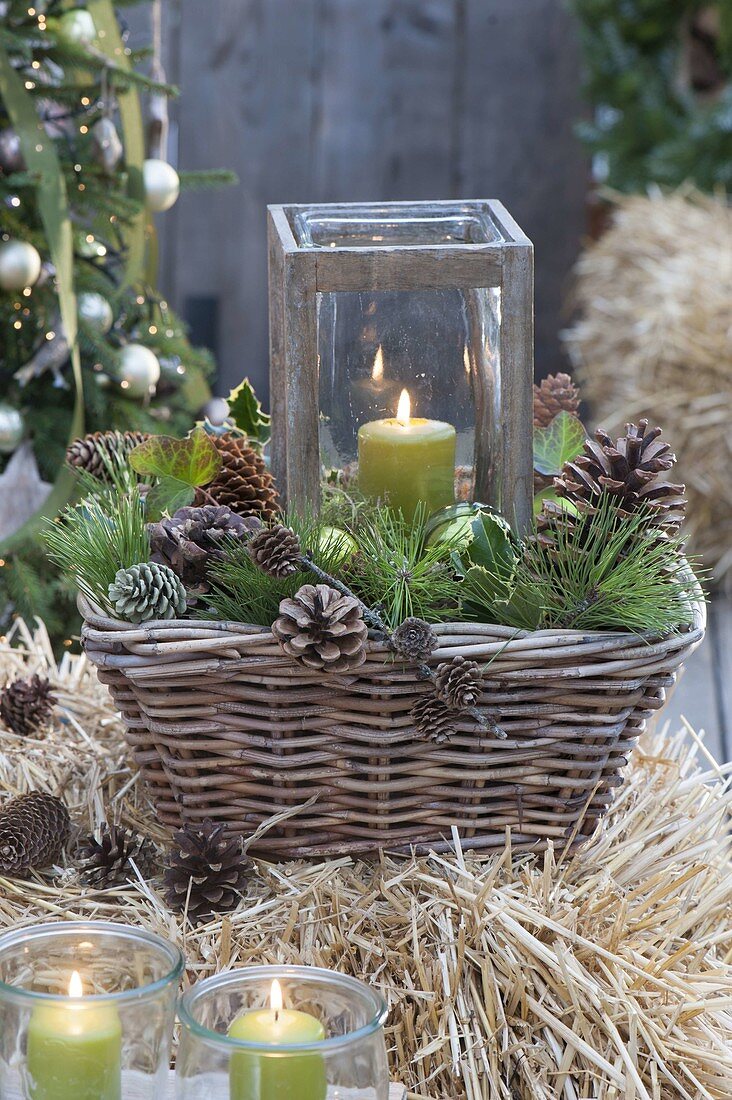 Lantern in basket on straw bales, Pinus cones and branches