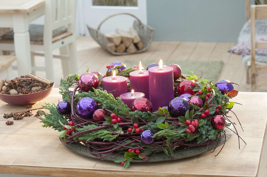 Advent wreath in berry colors: Cornus, Juniperus