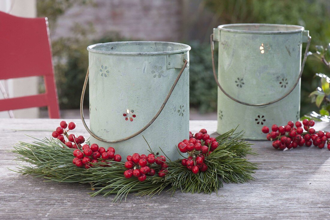 Tin lanterns with Pinus and red Ilex berries