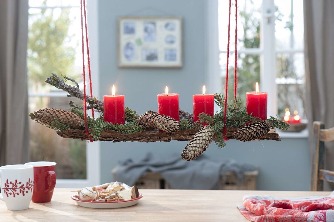 Red candles on bark with picea (spruce) branches with cones