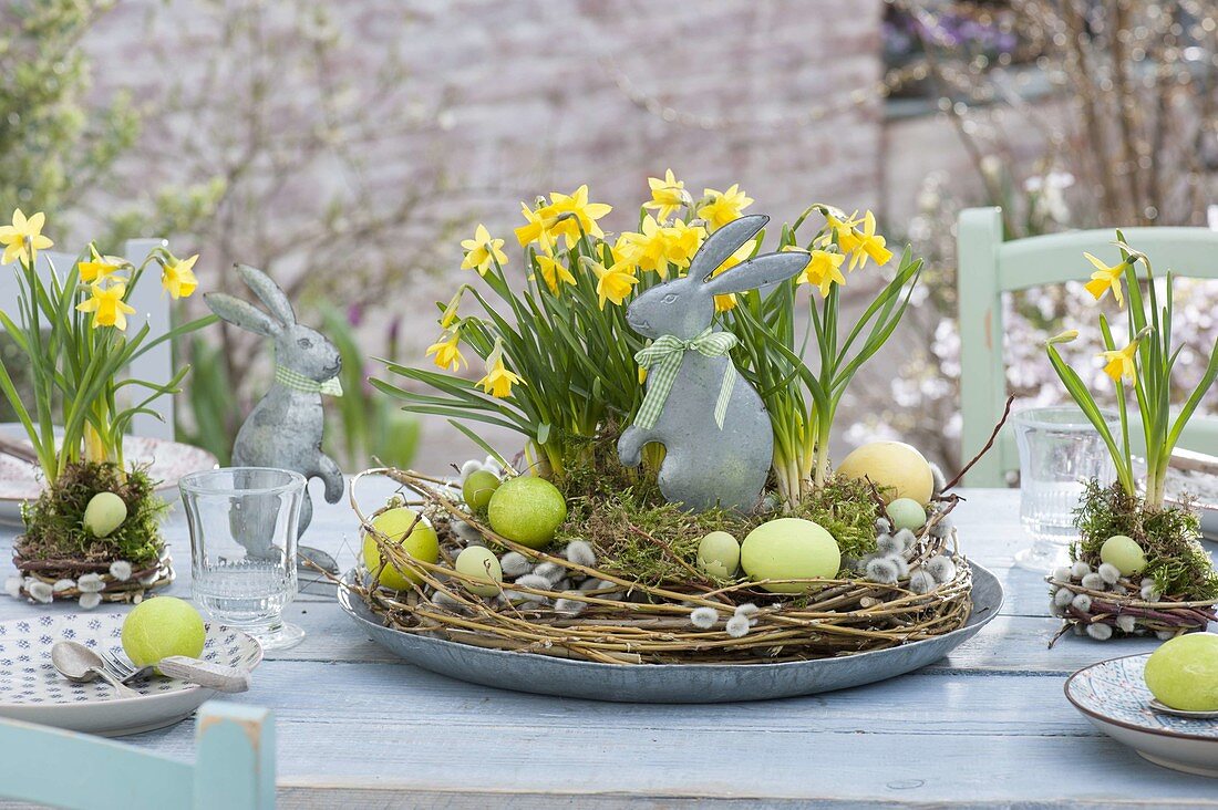 Table Decoration with Narcissus 'Tete A Tete' (Daffodil)