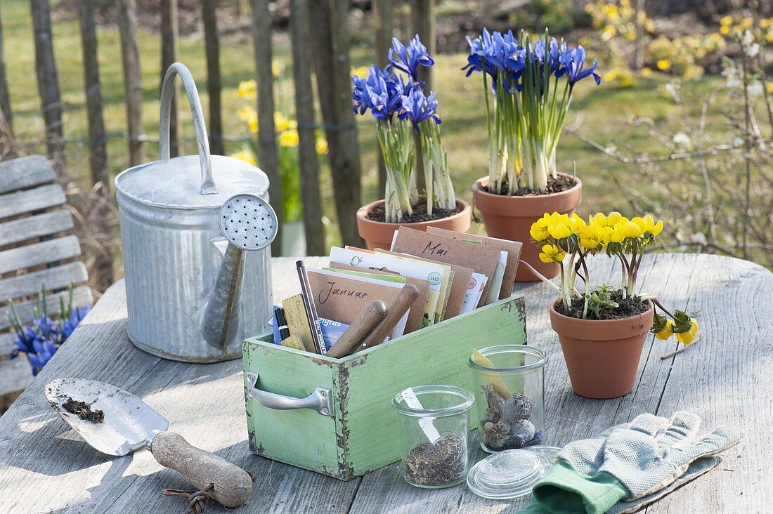 Sow planning: seeds and utensils in wooden box, pots