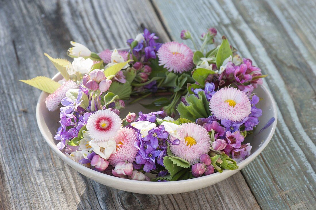 Spring wreath in bowl with water, Bellis, Malus
