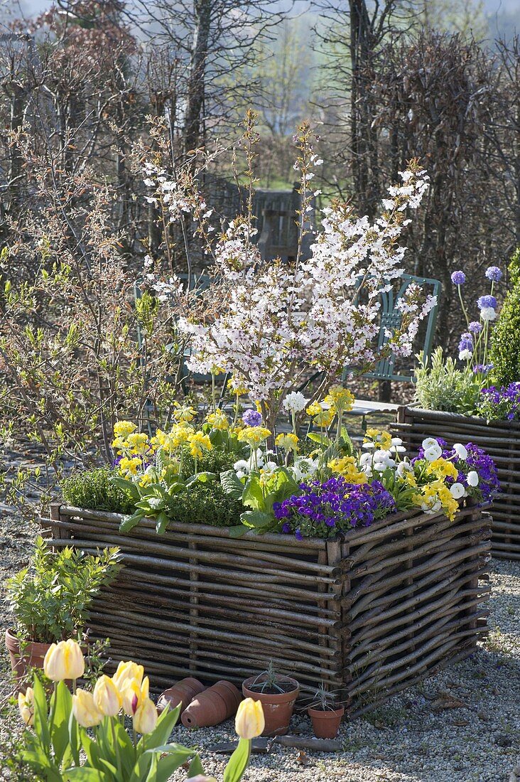 Gravel terrassse with raised beds made of hazelnut rods