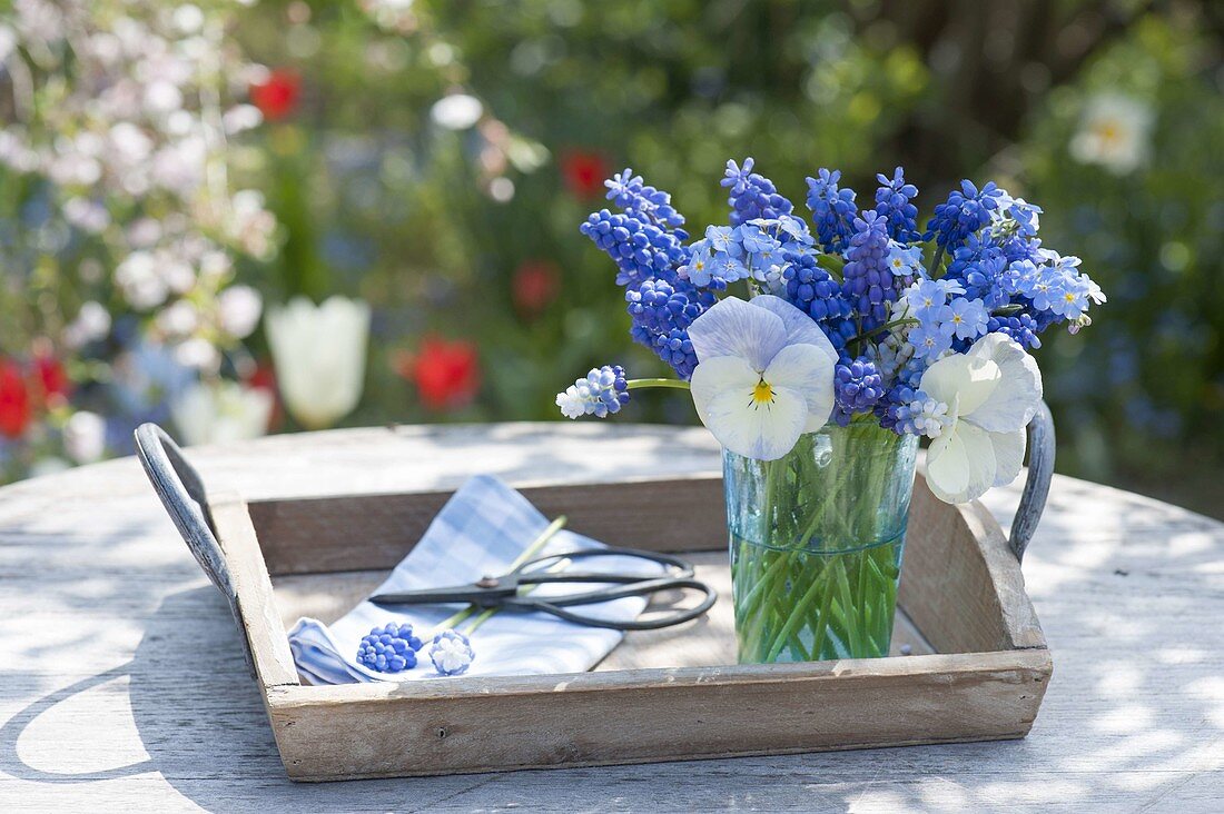 Mini-Strauss aus Muscari (Traubenhyazinthen), Viola (Stiefmütterchen)