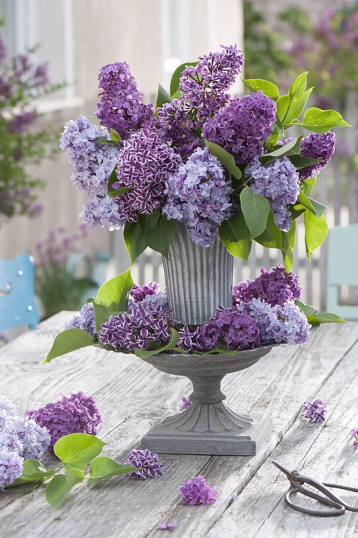 Syringa (lilac) tone-on-tone, as bouquet and as wreath
