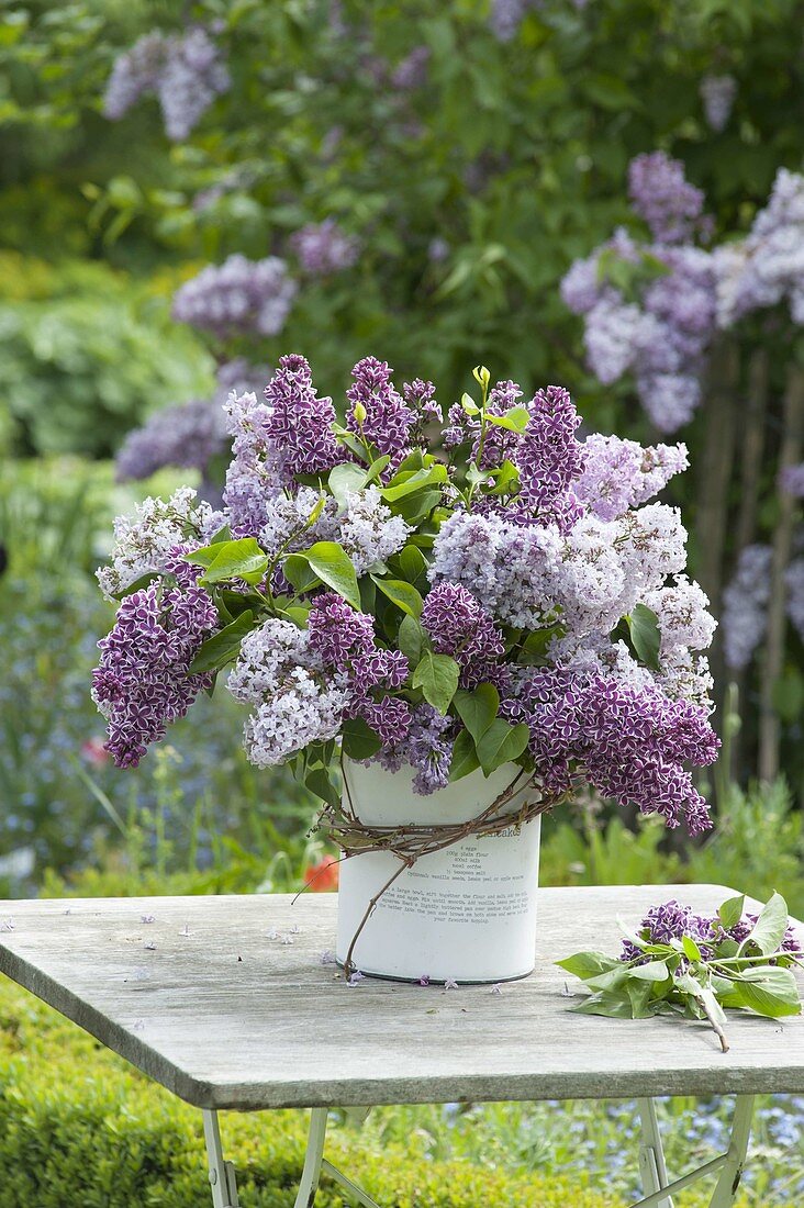 Lush syringa (lilac) bouquet in a cookie jar