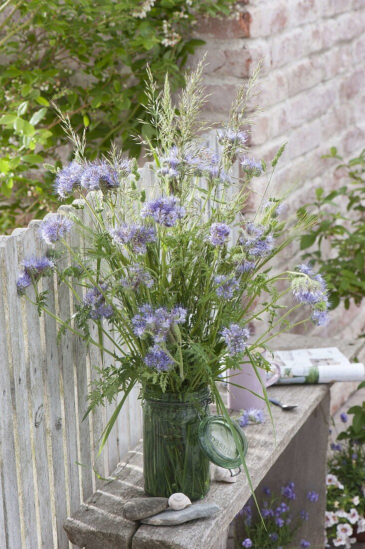 Rural bouquet made of Phacelia (purple tansy) and grasses