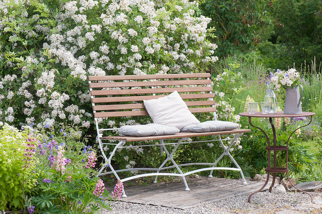 Small terrace of gravel and wood in the garden, bench in front of Rosa multiflora