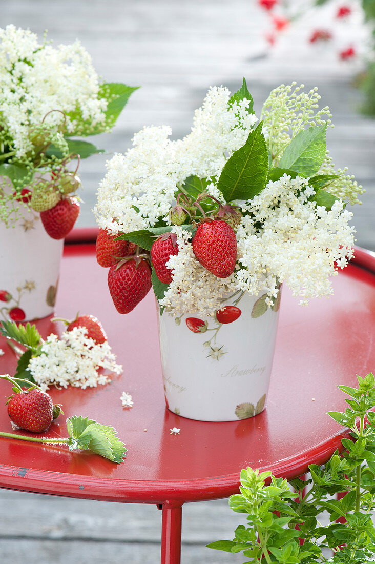 Kleiner Duftstrauss aus Erdbeeren (Fragaria) und Holunderblüten
