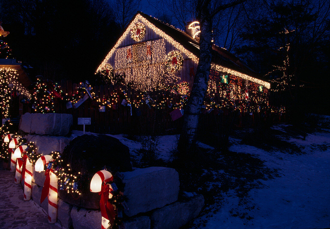 House and garden with Christmas lights