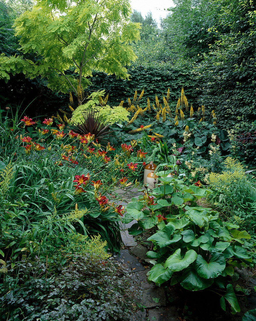 Ligularia 'Przewalskii', Ligularia dentata 'Desdemona', Phormium (Neuseeländ. Flachs), Hemerocallis (Taglilie)