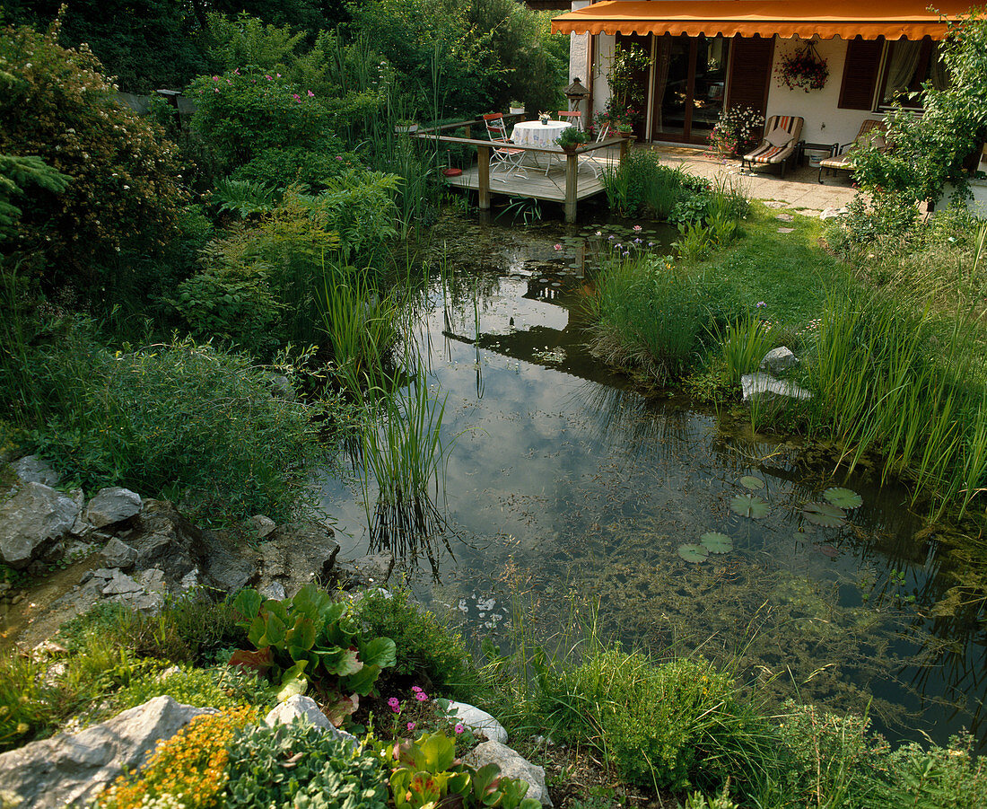 Natürlich angelegter Gartenteich, Sitzgruppe auf Holzdeck