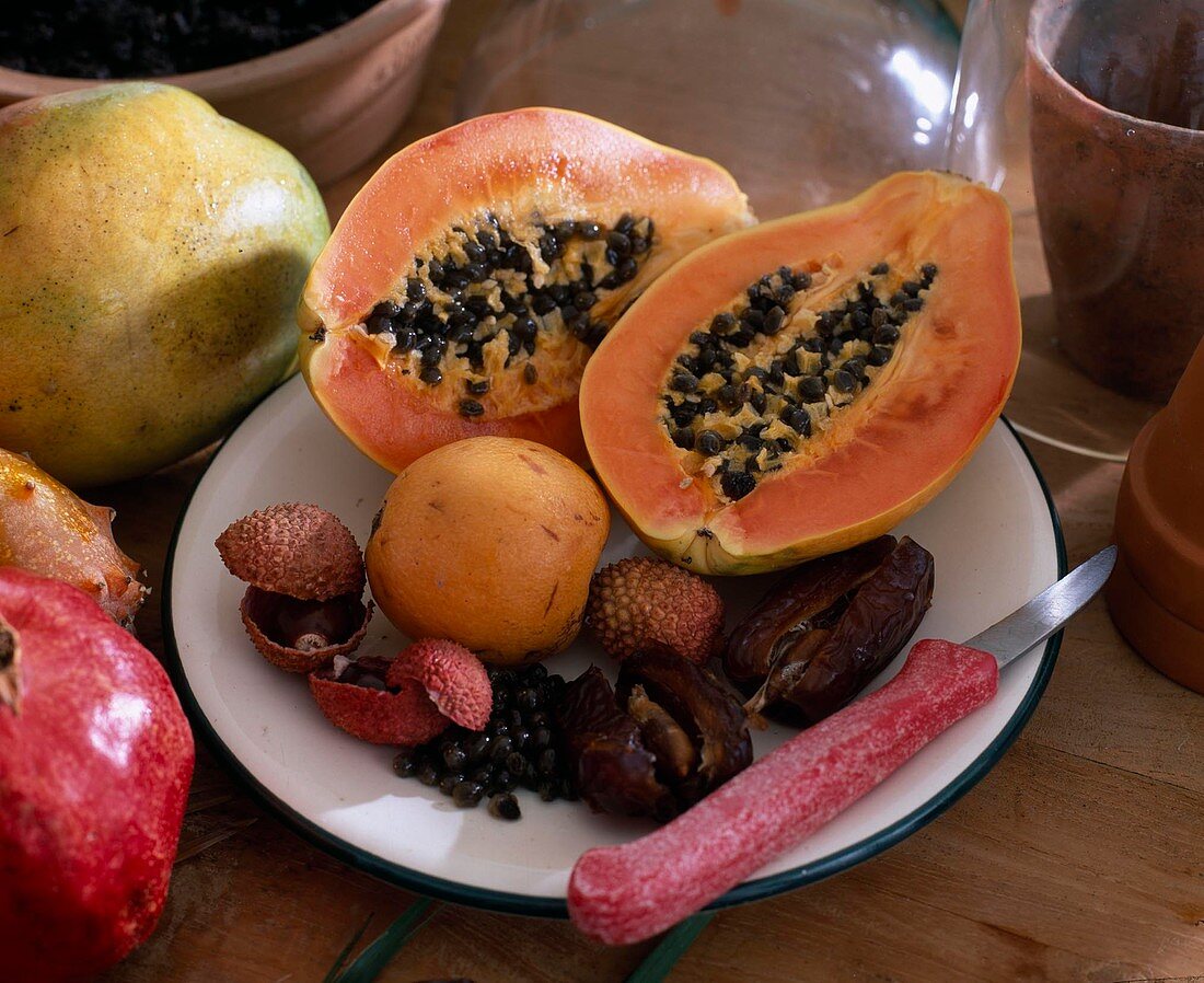 Papaya, lychee, eriobotrya, dates