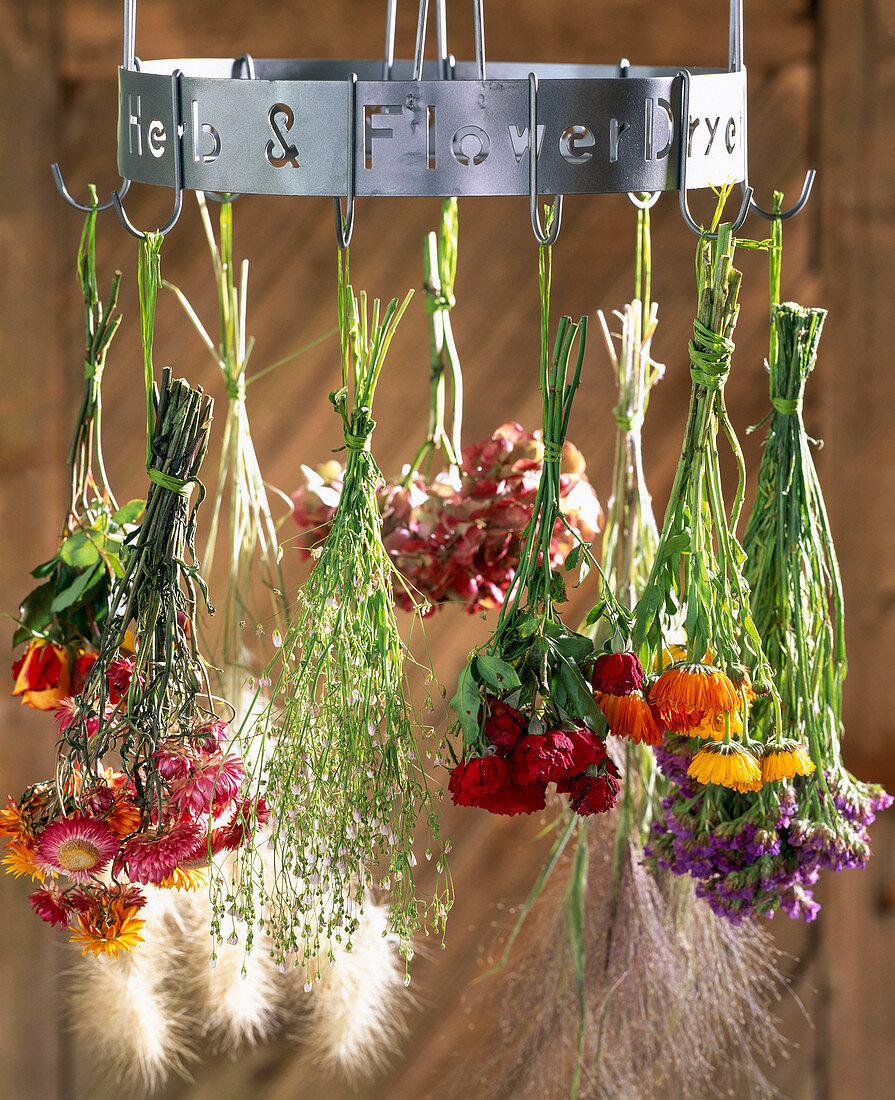 Hang flowers to dry