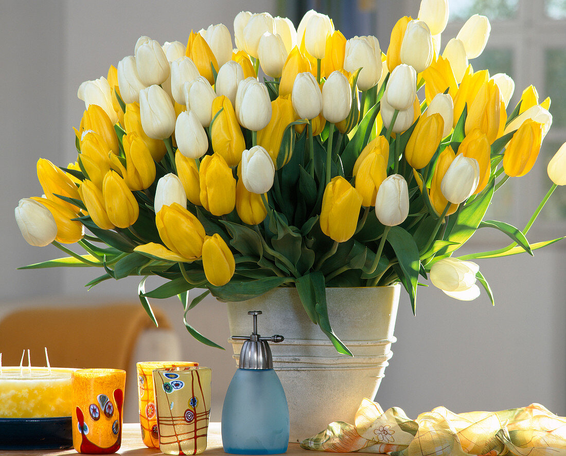 White-yellow tulip bouquet
