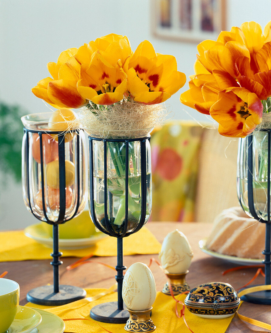 Tulips in the lantern