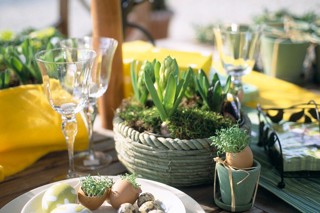 Easter table decoration with cress in eggs and pot