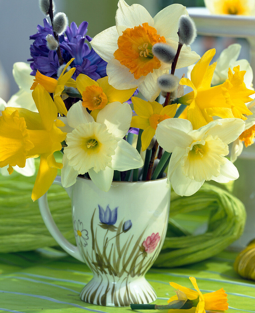 Bouquet with various daffodils, hyacinths, pussy willow