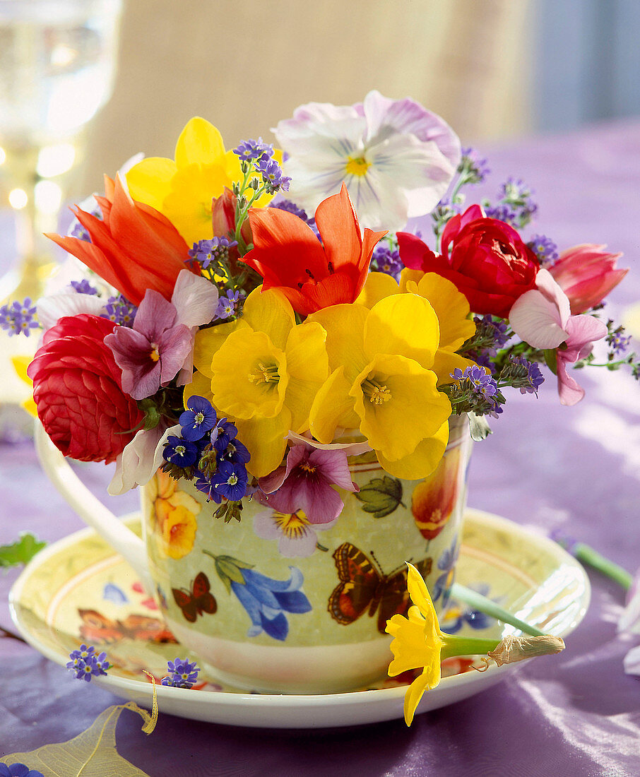 Frühlingsstrauß in einer Tasse: Narcissus, Tulipa, Viola, Myosotis