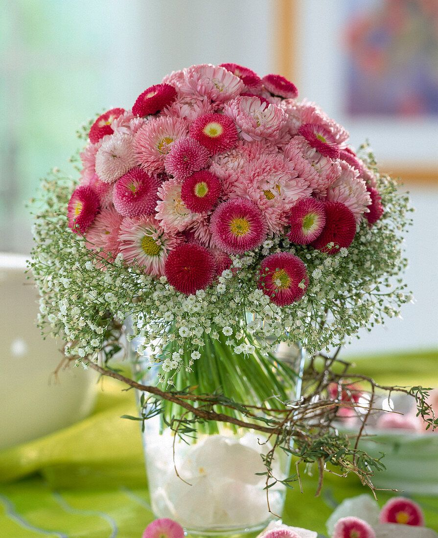 Bellis perennis (daisies), Gysophila (baby's breath)