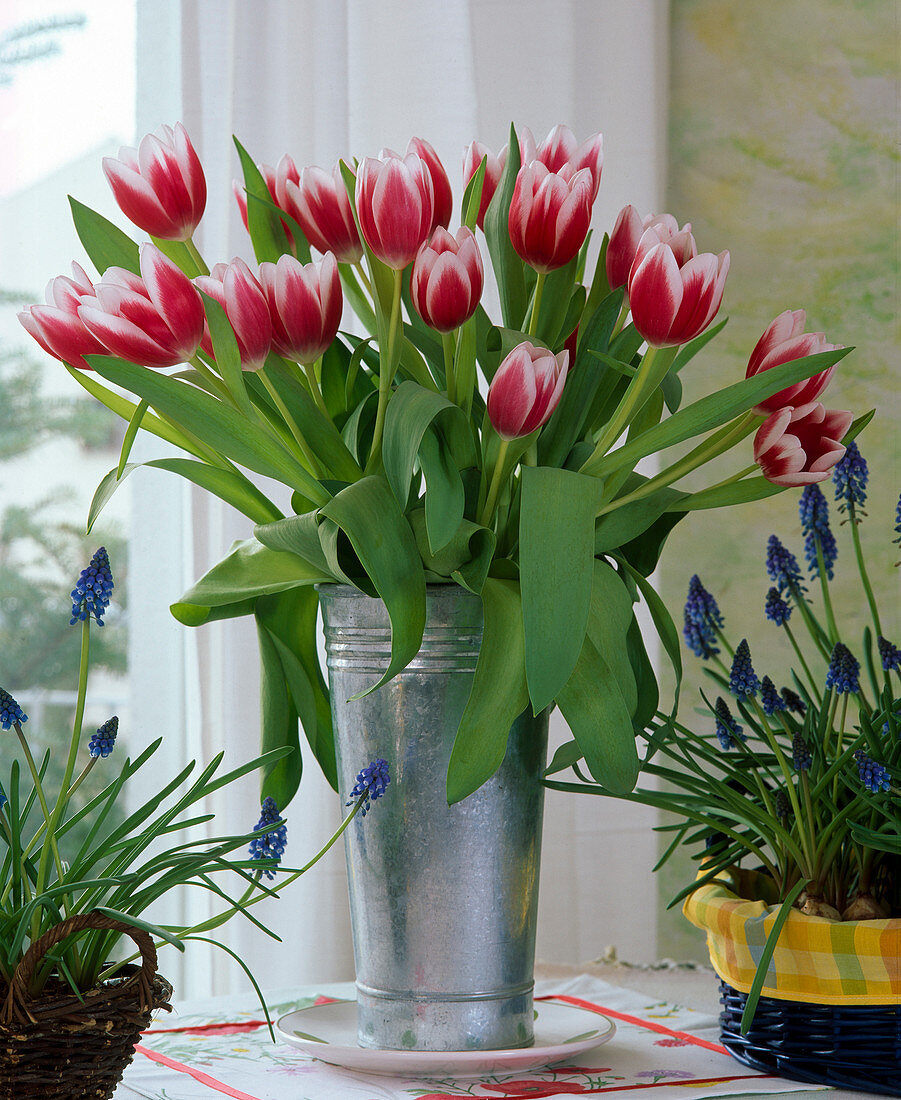 Tulpen-Bouquet