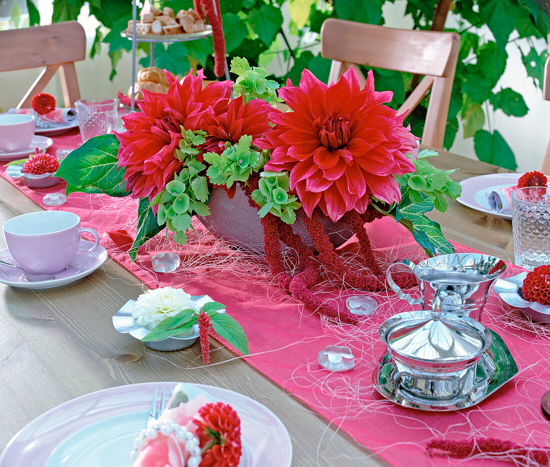 Tischdekoration mit Dahlia 'Garden Wonder', Moluccella