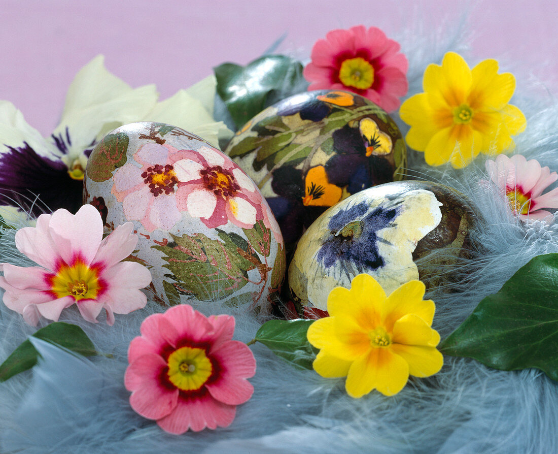 Painted eggs with flower motifs, Primula acaulis