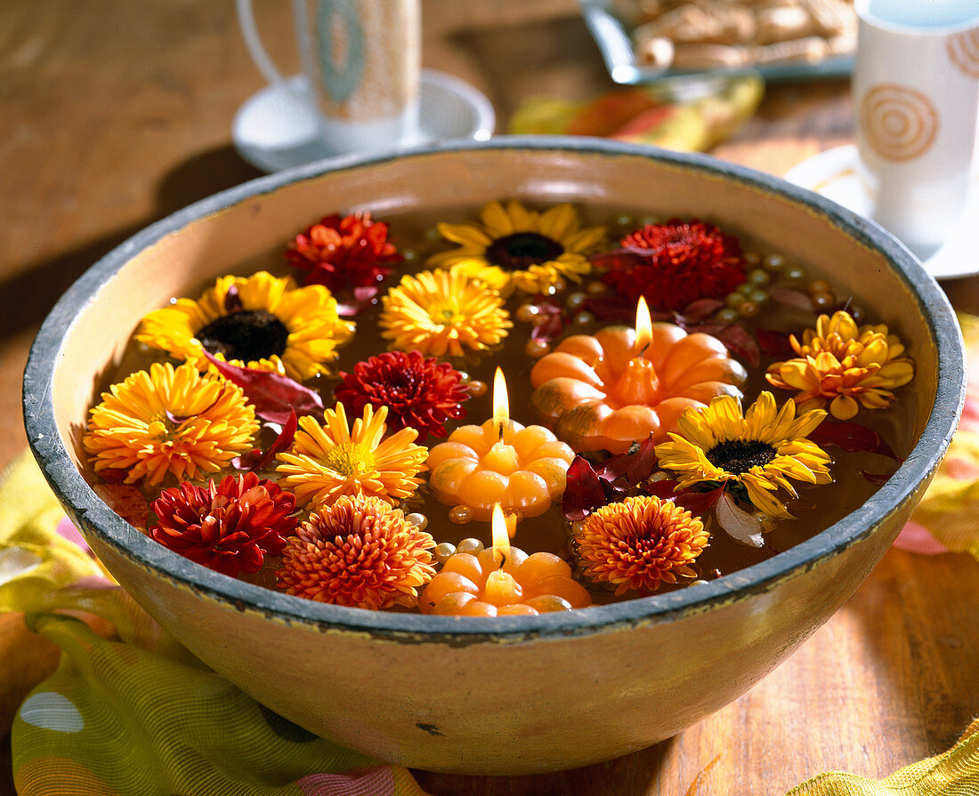 Bowl of flowers, Dendranthema (autumn chrysanthemum)
