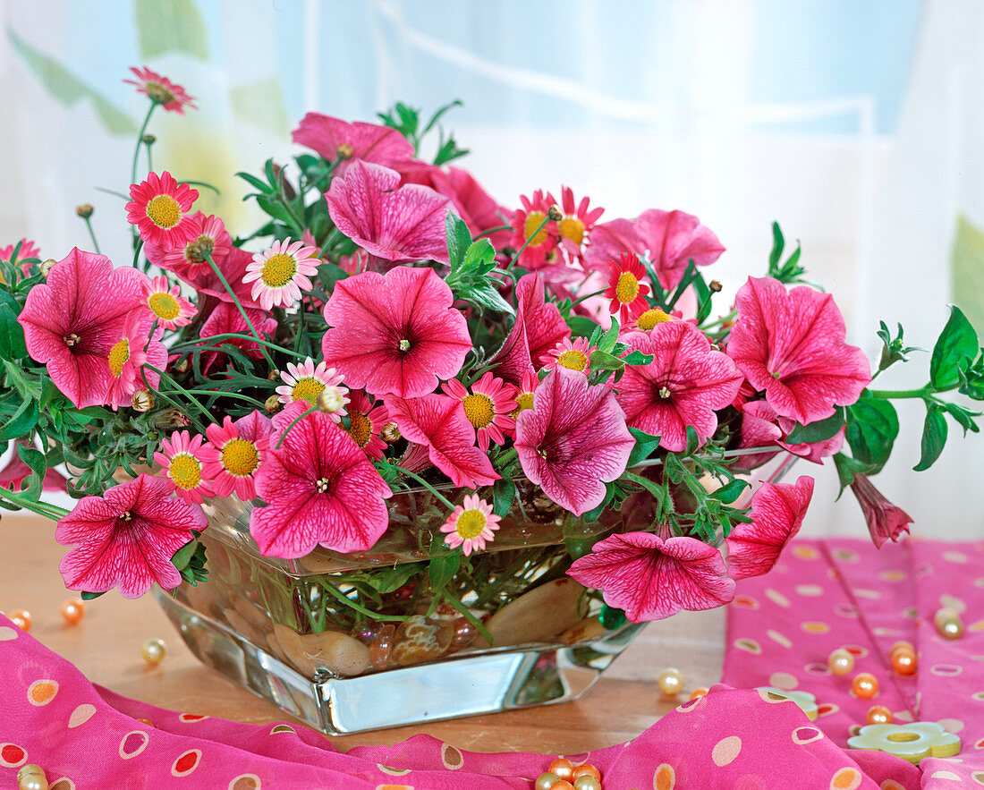 Glass bowl with summer flowers, Petunia surfinia