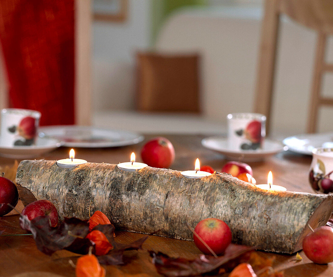 Birch trunk as Advent wreath, holes drilled