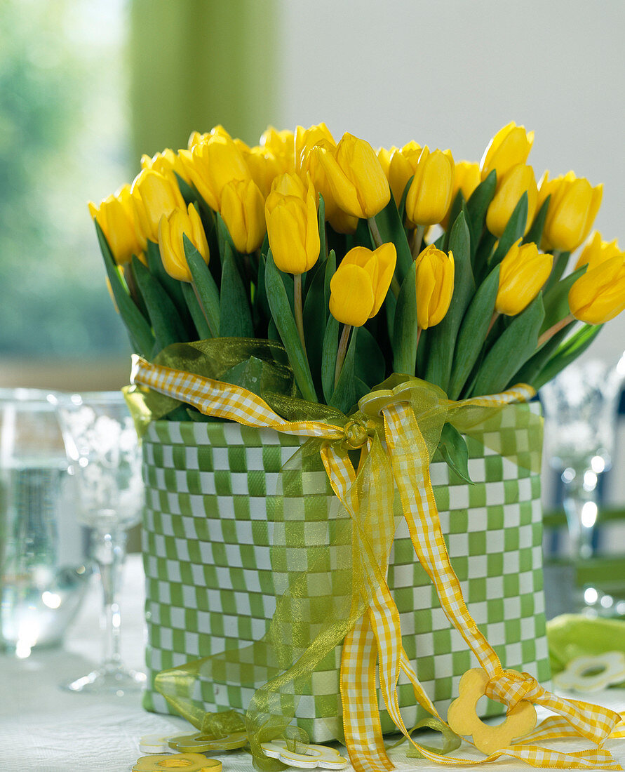 Tulipa-Hybr. 'Kareol' Vase im Kunststofftopf